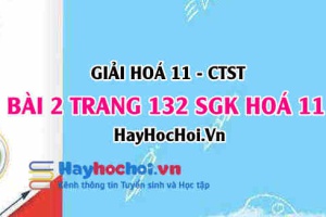 Giải bài 2 trang 132 Hoá 11 SGK Chân trời sáng tạo